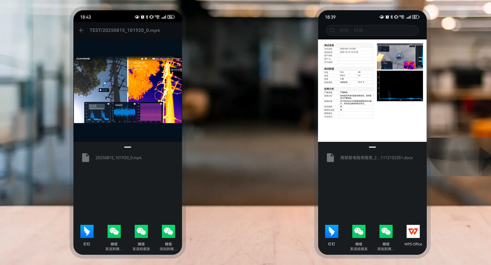 结果下载与社交分享